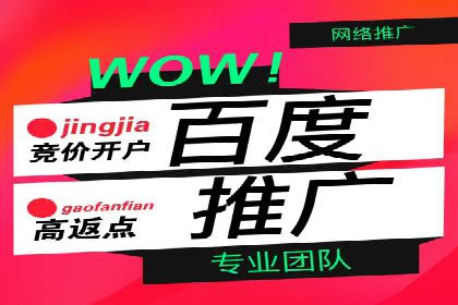 行业领先企业的百度竞价代运营经验分享